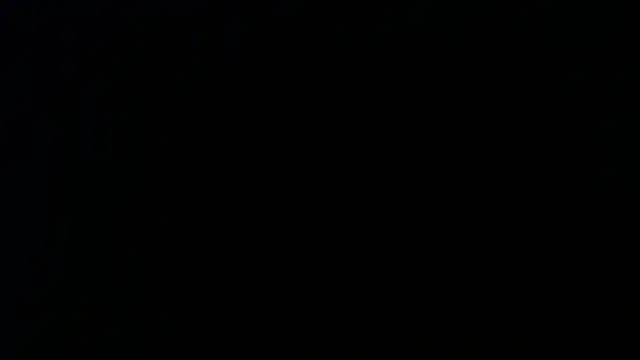 Sophia your online show from 9, 4, 2026