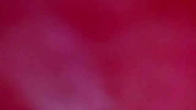 Snapshot of ray_and_666 chatting on 18, 1, 2026 ray and 666 online show from 18, 1, 2026