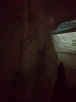 denca28 online show from 14, 3, 2026