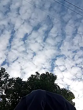 perversalus online show from 2, 10, 2025