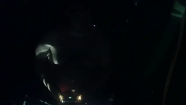 perversalus online show from 12, 3, 2026