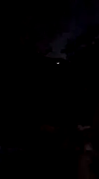 Dogz n daugthers online show from 21, 12, 2024