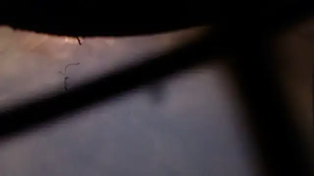 Cordt30 online show from 12, 2, 2026