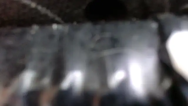 Snapshot of SaraMartins00 chatting on 14, 12, 2024 SaraMartins00 online show from 14, 12, 2024