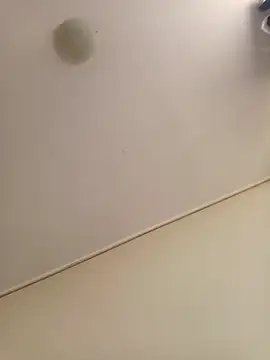 zafka 9 online show from 8, 4, 2026