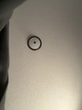 Snapshot of ebonyred chatting on 21, 12, 2025 ebonyred online show from 21, 12, 2025