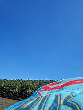 Dixiefaye Pika online show from 18, 3, 2025