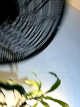 Snapshot of _Miguel100 chatting on 6, 11, 2025 Miguel100 online show from 6, 11, 2025