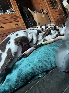 SexyB214 online show from 7, 3, 2025