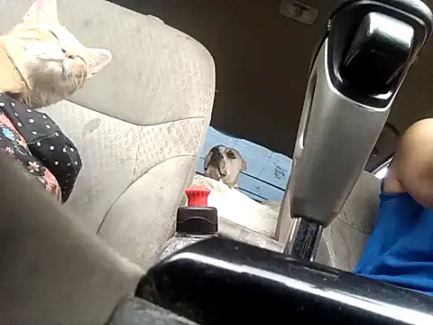 SexyB214 online show from 25, 4, 2026