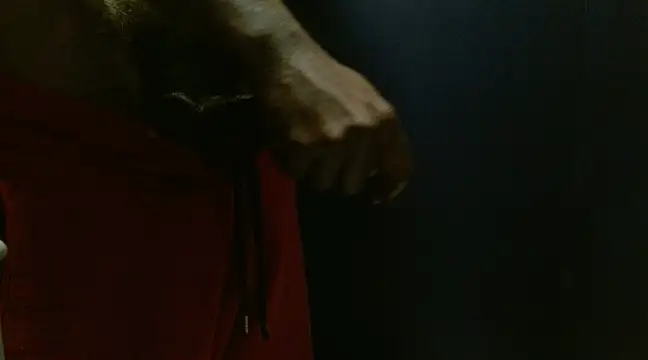 phbbcsham online show from 24, 1, 2025