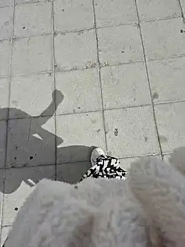 SexyErola27 online show from 10, 4, 2026