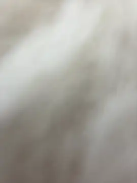 Snapshot of NewLale chatting on 27, 1, 2025 NewLale online show from 27, 1, 2025