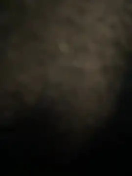 Mila Morgan online show from 2, 3, 2025