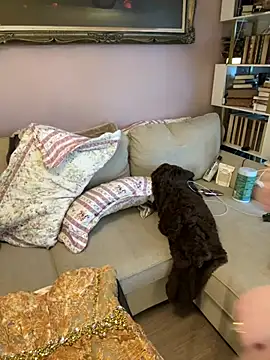 GingerSnap33 online show from 18, 1, 2026