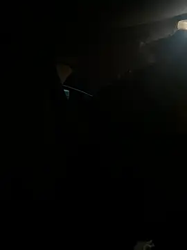 starrynikki online show from 21, 2, 2025