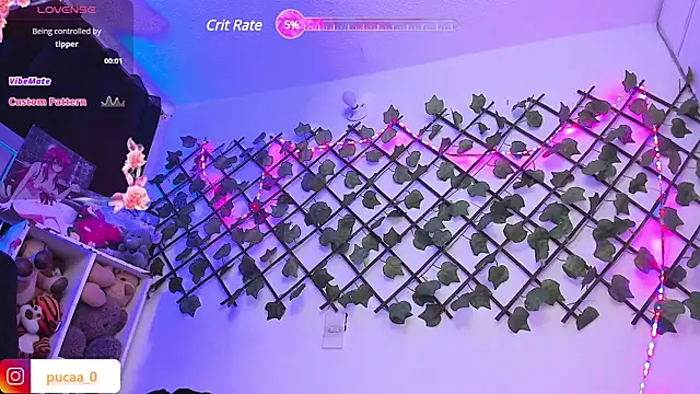 Pucaa  online show from 28, 1, 2025