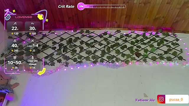 Pucaa  online show from 26, 6, 2026