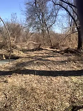 Boysex227 online show from 8, 3, 2025