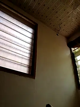 Bulletact online show from 5, 2, 2026