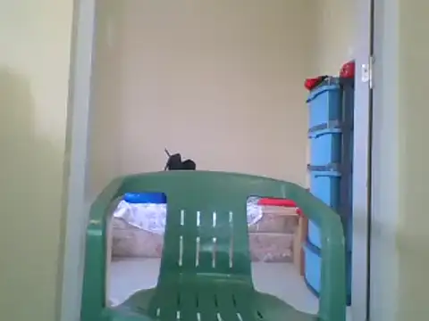 Snapshot of the_geisha_2021k chatting on 27, 1, 2025 the geisha 2021k online show from 27, 1, 2025