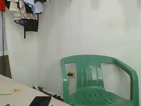 Snapshot of the_geisha_2021k chatting on 8, 11, 2025 the geisha 2021k online show from 8, 11, 2025