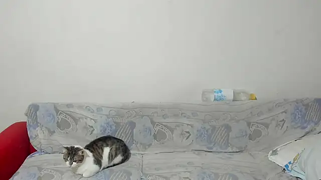 ANGELALEXYNO2024 online show from 26, 2, 2025