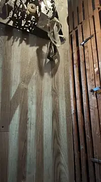 czruz online show from 16, 3, 2025