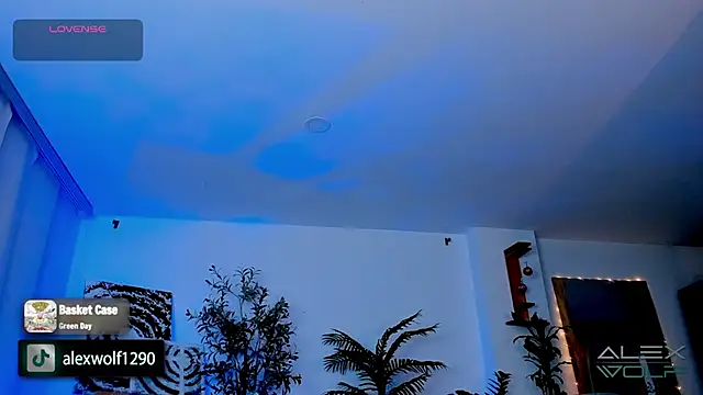 alex wolf  online show from 17, 1, 2025