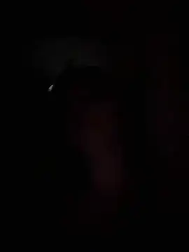 Snapshot of adel_secret chatting on 8, 3, 2025 adel secret online show from 8, 3, 2025