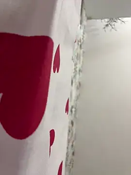 Snapshot of adel_secret chatting on 28, 2, 2026 adel secret online show from 28, 2, 2026