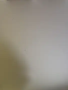 selenne schmitt online show from 26, 4, 2026