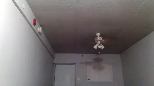 bigdick5157 online show from 7, 10, 2025