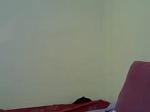 blackdollshe online show from 19, 6, 2026
