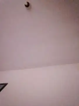 nbsc25 online show from 11, 3, 2026