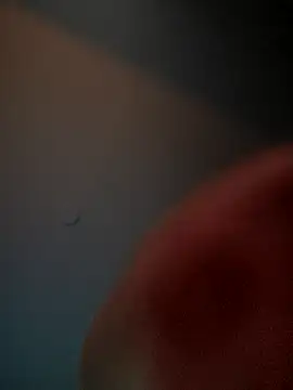 lolabun247 online show from 2, 11, 2025