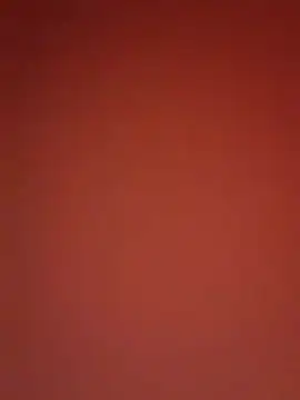 kikkastar online show from 25, 12, 2024