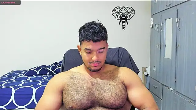 Big furry bear13 online show from 11, 12, 2024