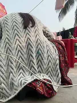 Ishikarana online show from 6, 1, 2026