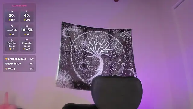 Snapshot of AramJoness chatting on 13, 12, 2024 AramJoness online show from 13, 12, 2024