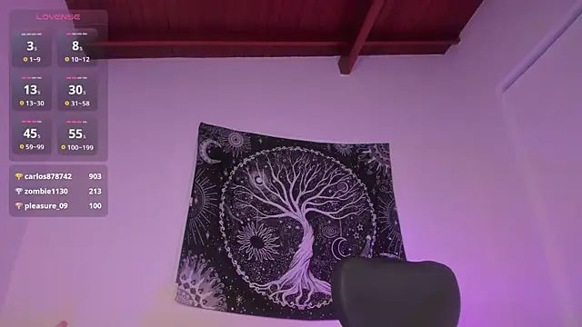 Snapshot of AramJoness chatting on 17, 12, 2024 AramJoness online show from 17, 12, 2024