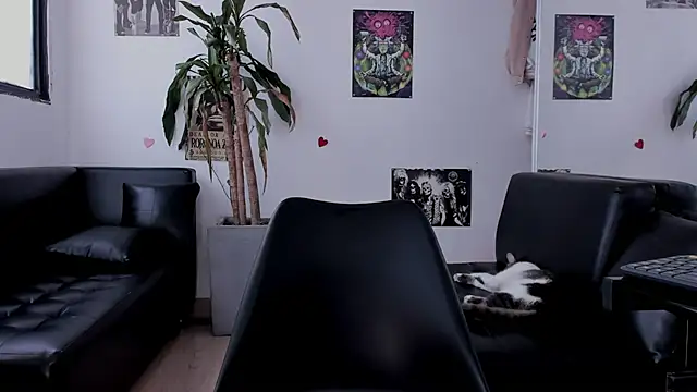 alice greco online show from 3, 3, 2026