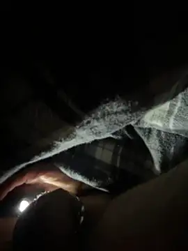 Shyboy817 online show from 11, 3, 2026