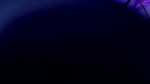 violett lo online show from 16, 7, 2026