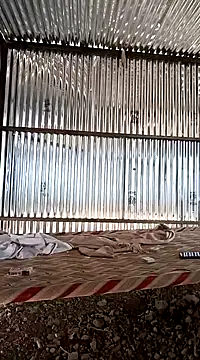 Kartik bbc indian online show from 18, 12, 2024