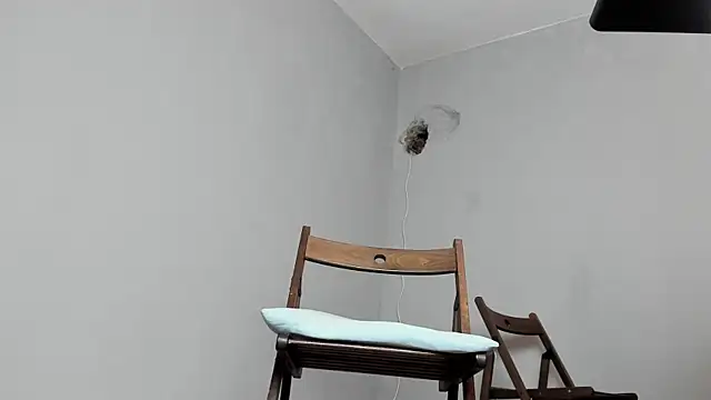 Master Mark Wayne online show from 15, 10, 2025