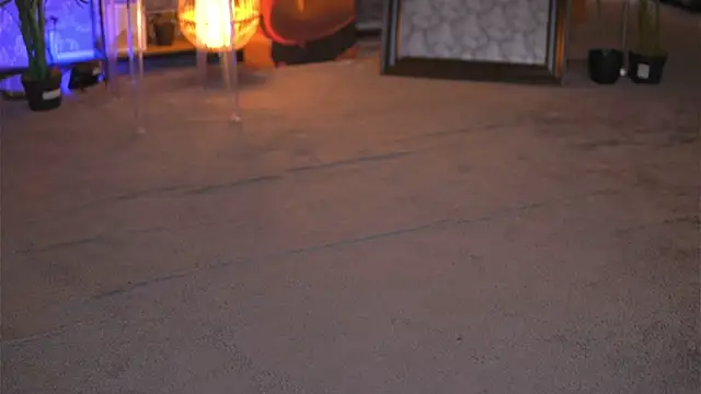 EvaZane online show from 29, 1, 2025