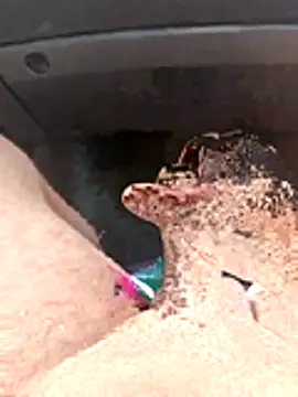 Szeltolo001 online show from 28, 4, 2026