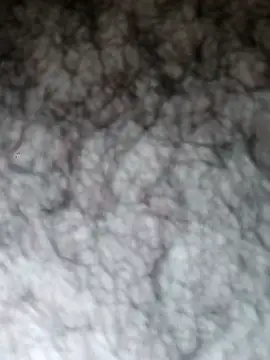 Hairyarabguy online show from 14, 5, 2026