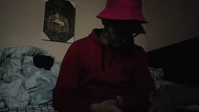 hailzeffn online show from 7, 11, 2025